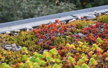 the cost of City Of London green roof installation
